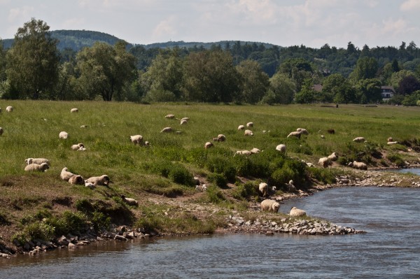 weser - (c) l lammers.jpg